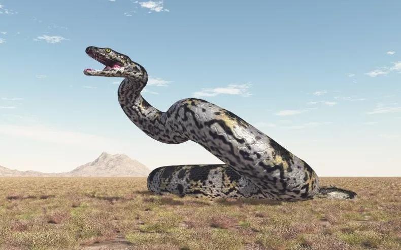Phát hiện ‘quái vật’ rắn lớn nhất từng sống trên Trái Đất